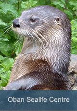 sealife centre