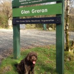 glen greran